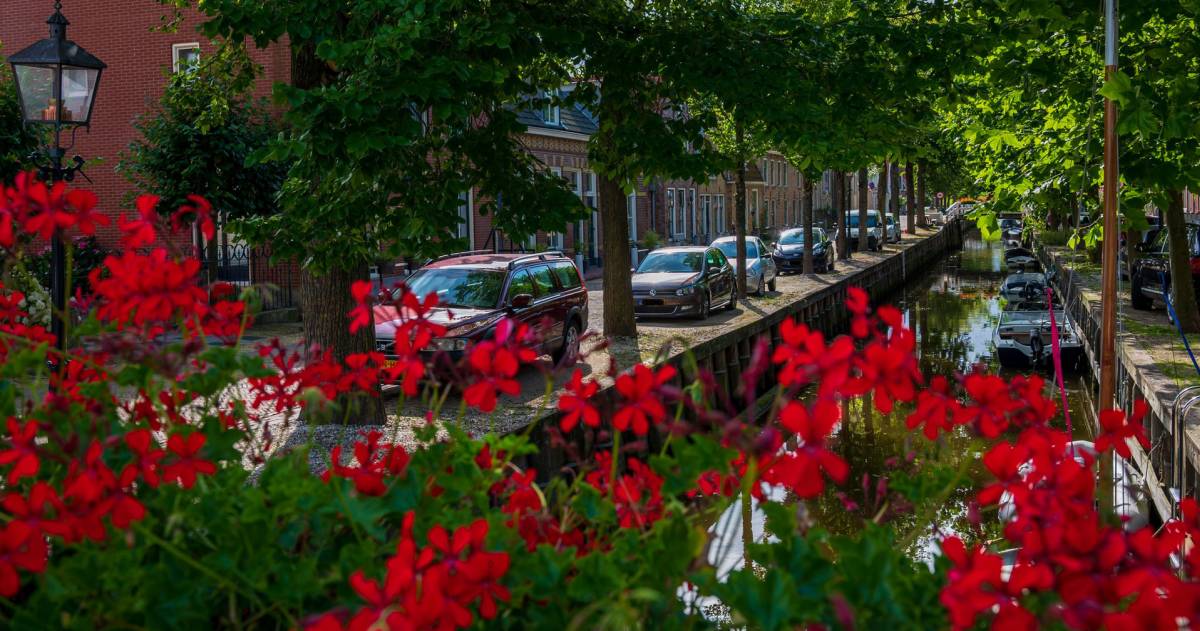 Een straatje in Harlingen met op de voorgrond rode bloemen